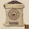 кофе жареный в мешках Уганда арабика 100%